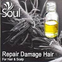 Essential Oil Repair Damage Hair - 10ml - Click Image to Close